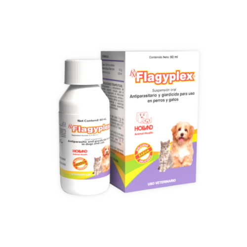 Flagyplex Suspensión cajilla con envase de 60 mL