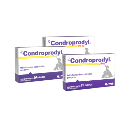 Rx Condroprodyl cajilla con 20 tabletas