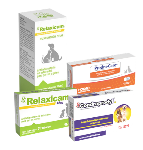 Antiinflamatorios Antiinflamatorios
