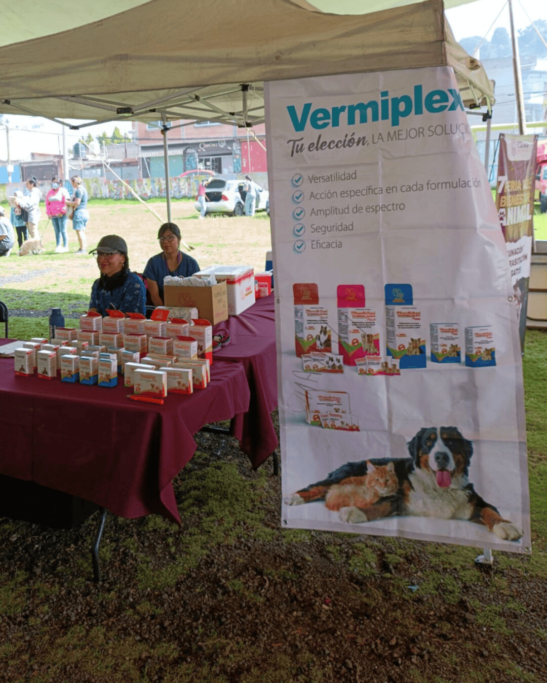 Medicamentos VeterinariosHolland Animal Health exportaciones (1)